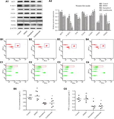 Prediction and Verification of the Major Ingredients and Molecular Targets of Tripterygii Radix Against Rheumatoid Arthritis